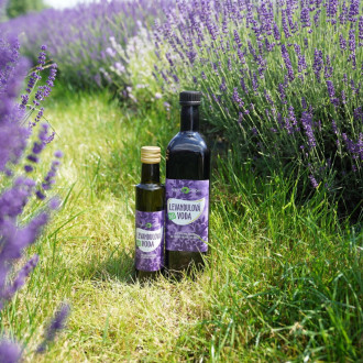 PURITY VISION Bio Levanduľová voda 1 l
