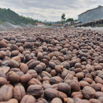 PURITY VISION Fair Trade Bio Zrnková káva Etiopie Sidamo 500 g