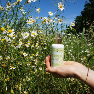 PURITY VISION Bio Harmančeková voda 100 ml